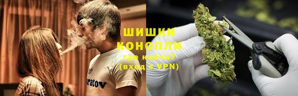 молекула духа Бронницы