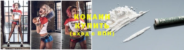 молекула духа Бронницы