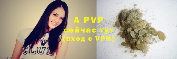 крисы Богданович