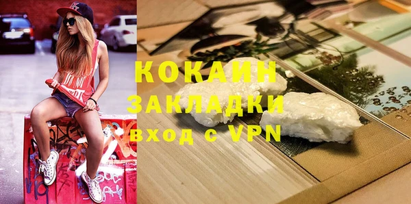стафф Бородино