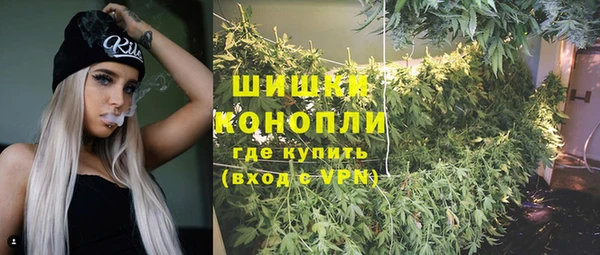 крисы Богданович