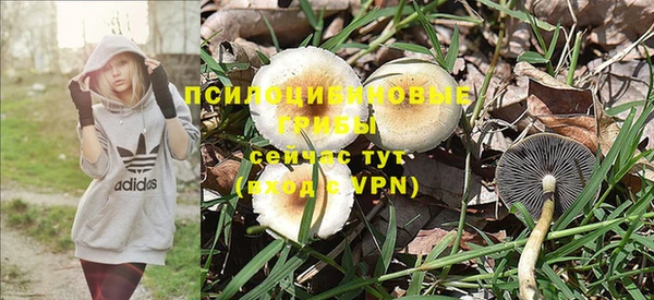 молекула духа Бронницы