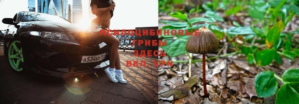 хмурый Богородицк